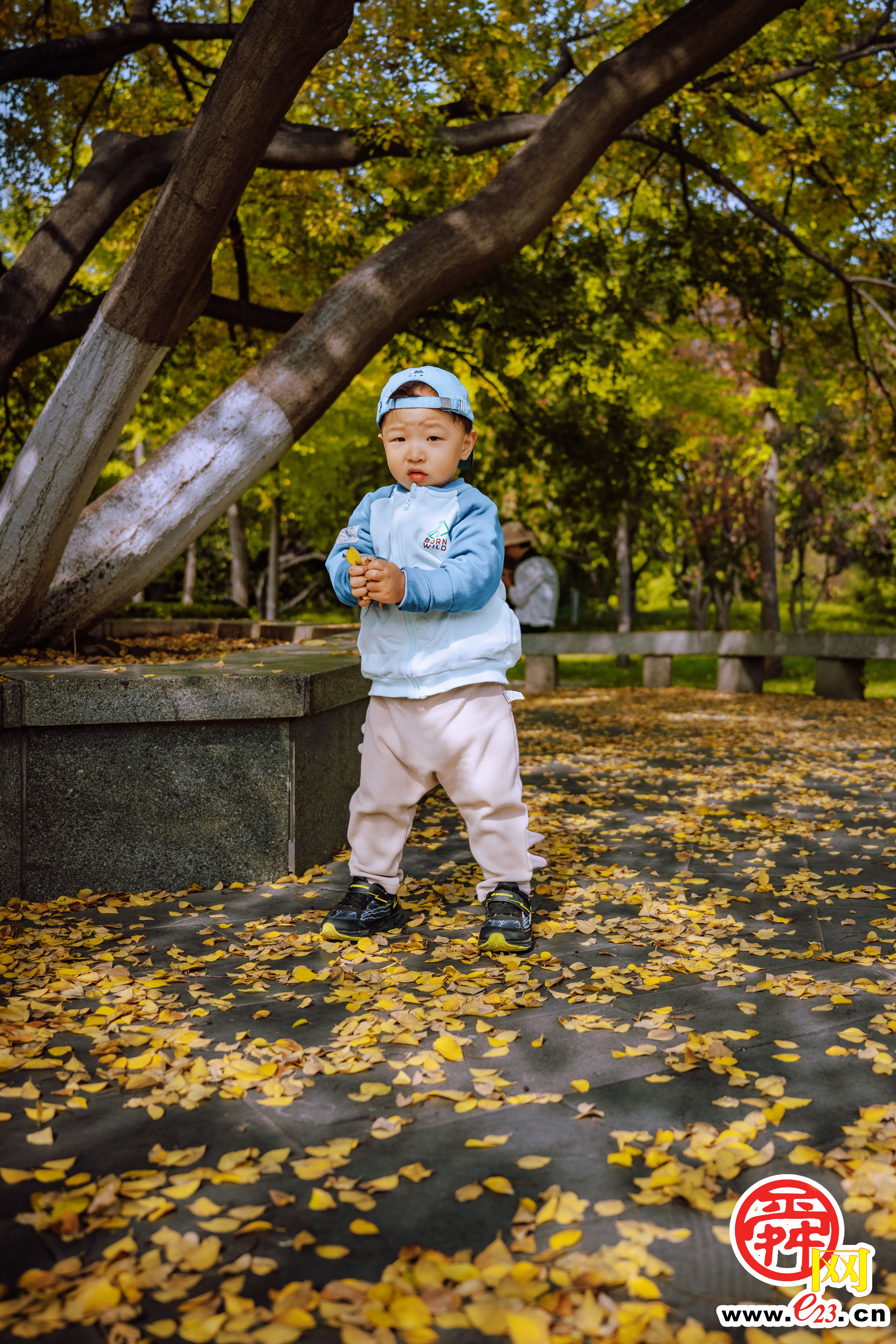 泉城公园的秋色，美得让人心旷神怡