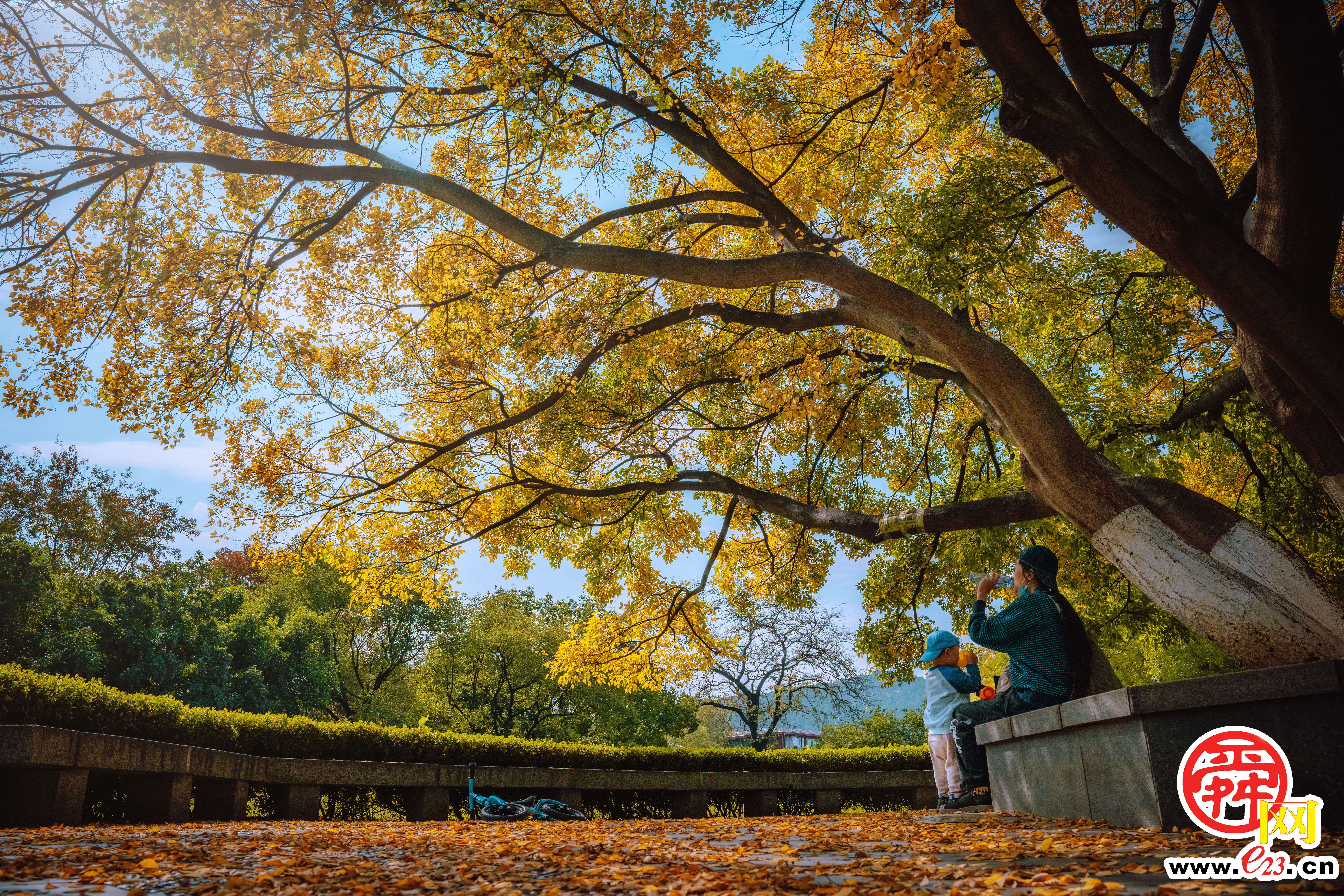 泉城公园的秋色，美得让人心旷神怡