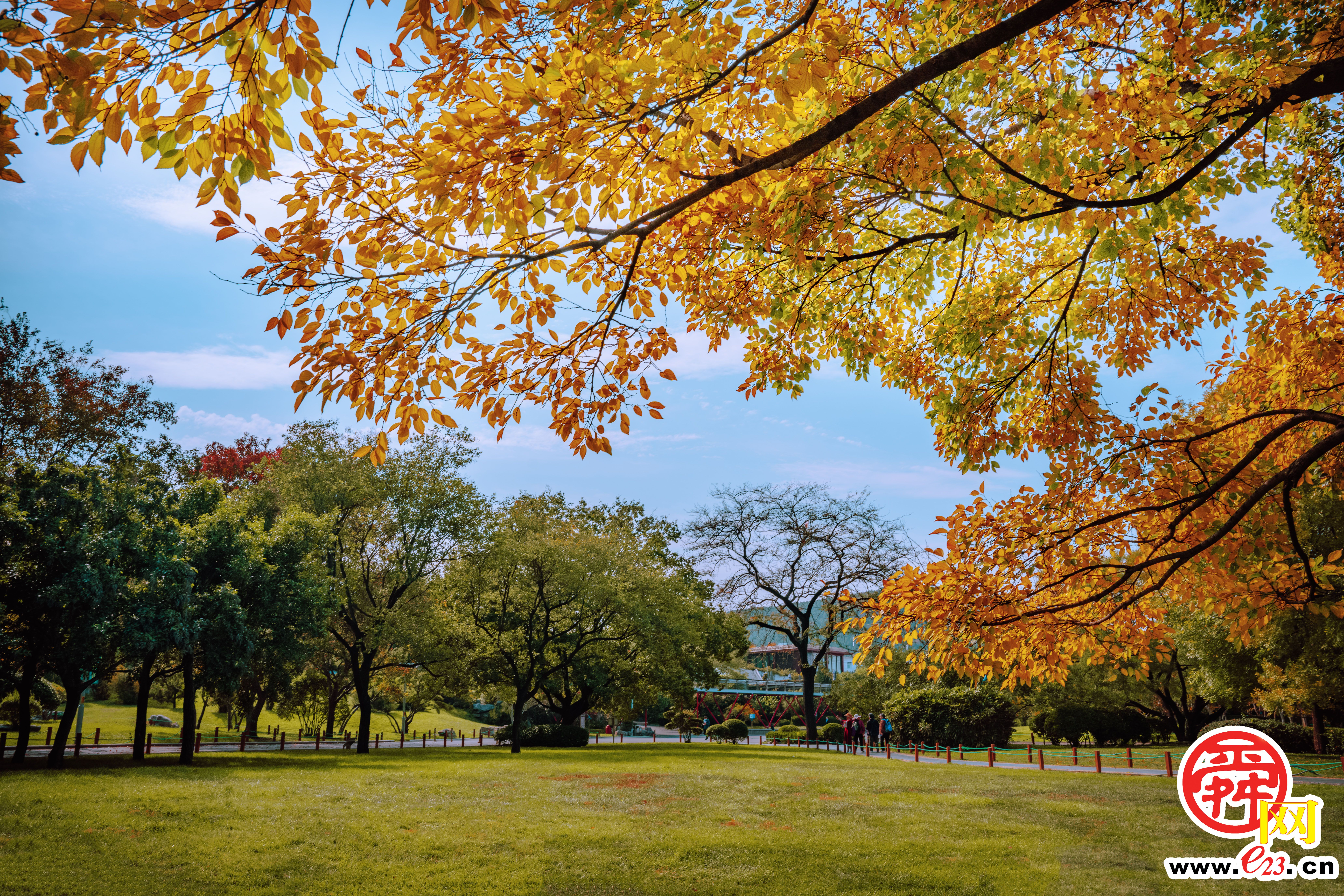 泉城公园的秋色，美得让人心旷神怡