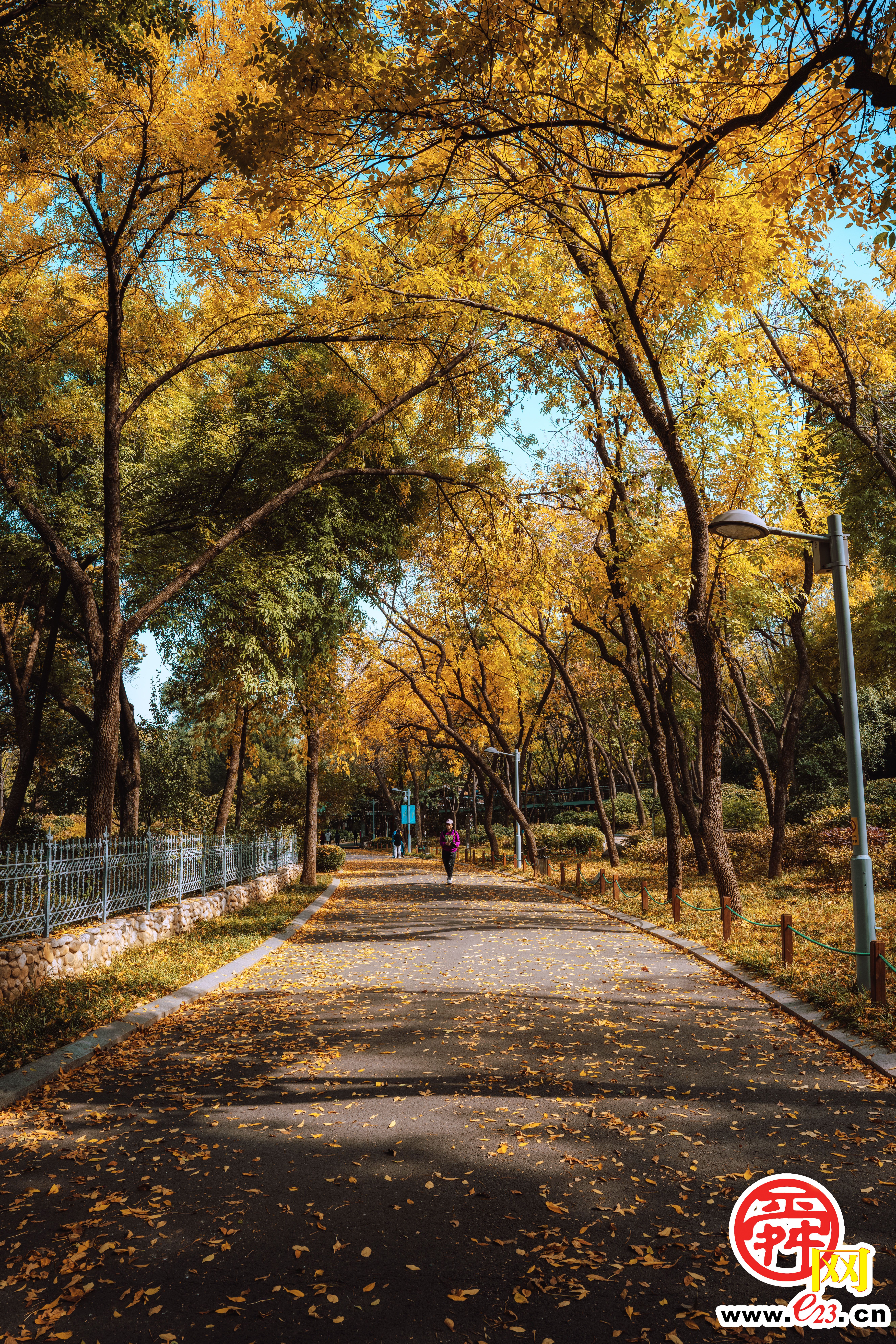 泉城公园的秋色，美得让人心旷神怡