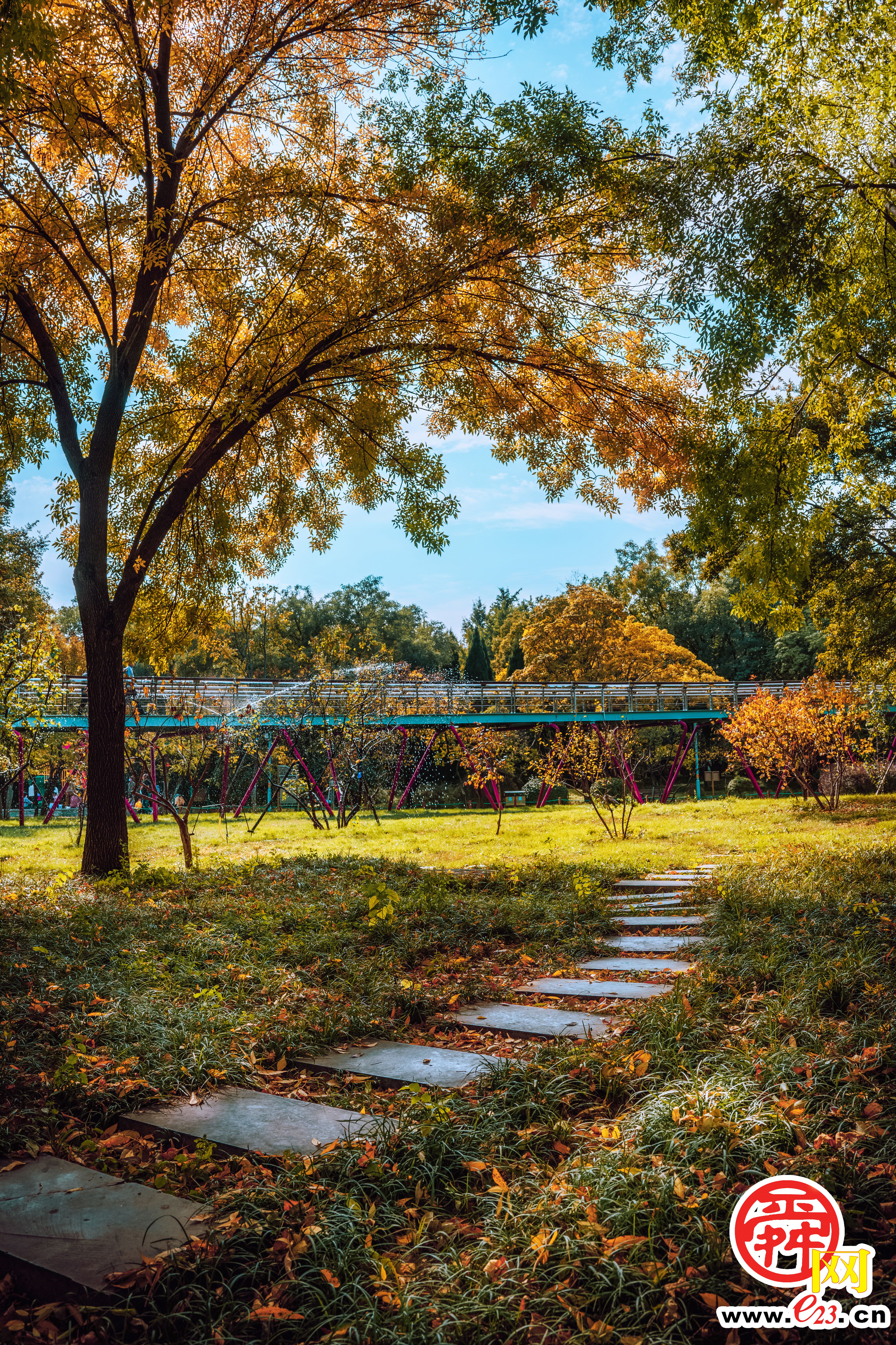 泉城公园的秋色，美得让人心旷神怡