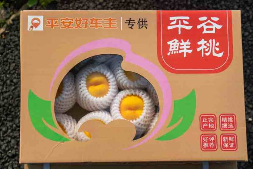 平安产险助力乡村振兴方法论：用专业创造价值