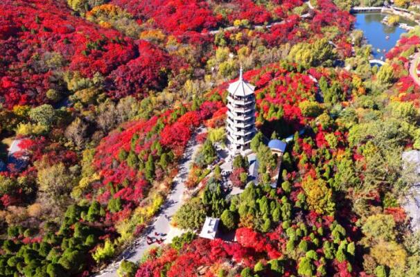 La Vallée des feuilles rouges de Jinan à la fin de l