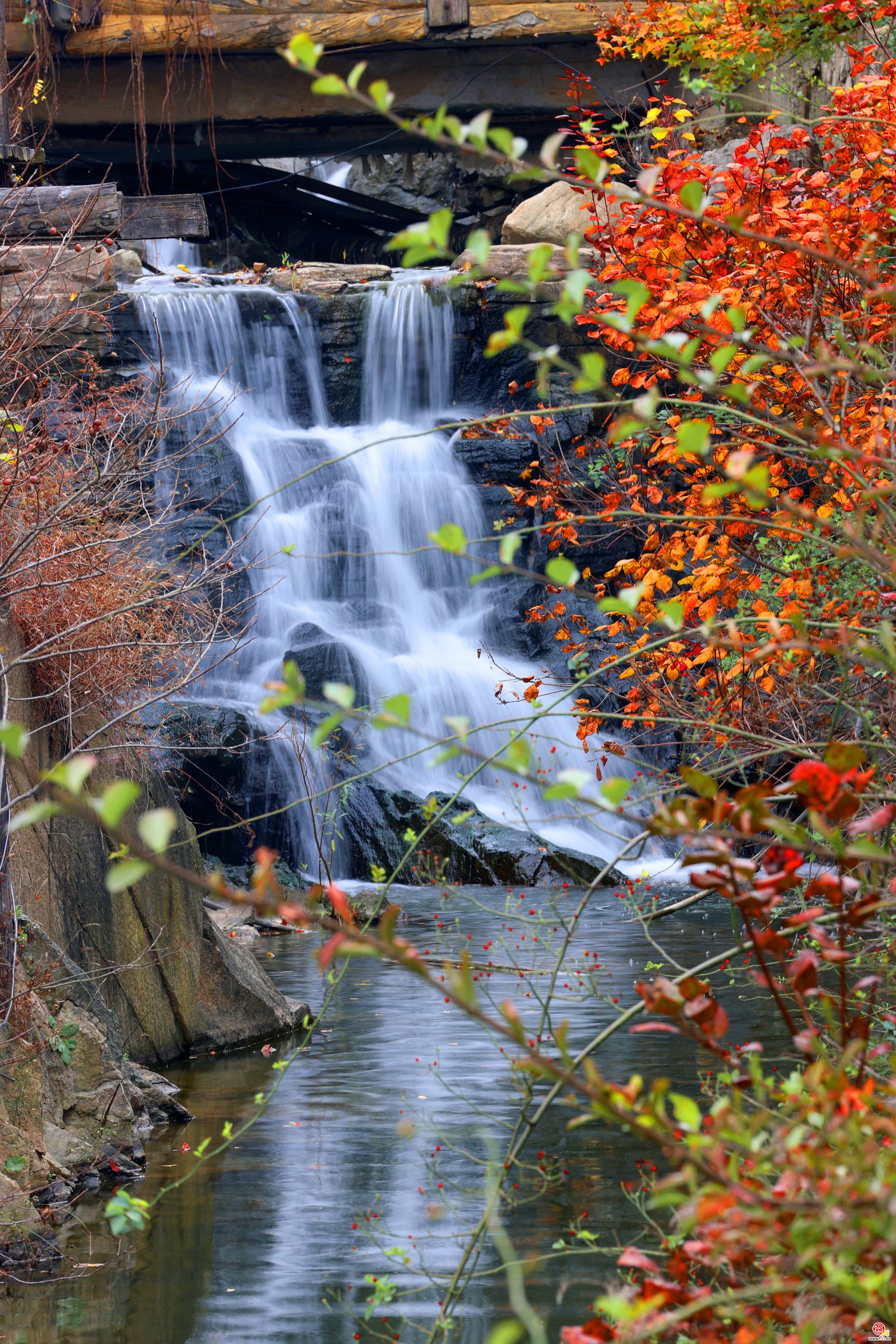 邂逅九如山 浪漫赏秋绚丽来袭