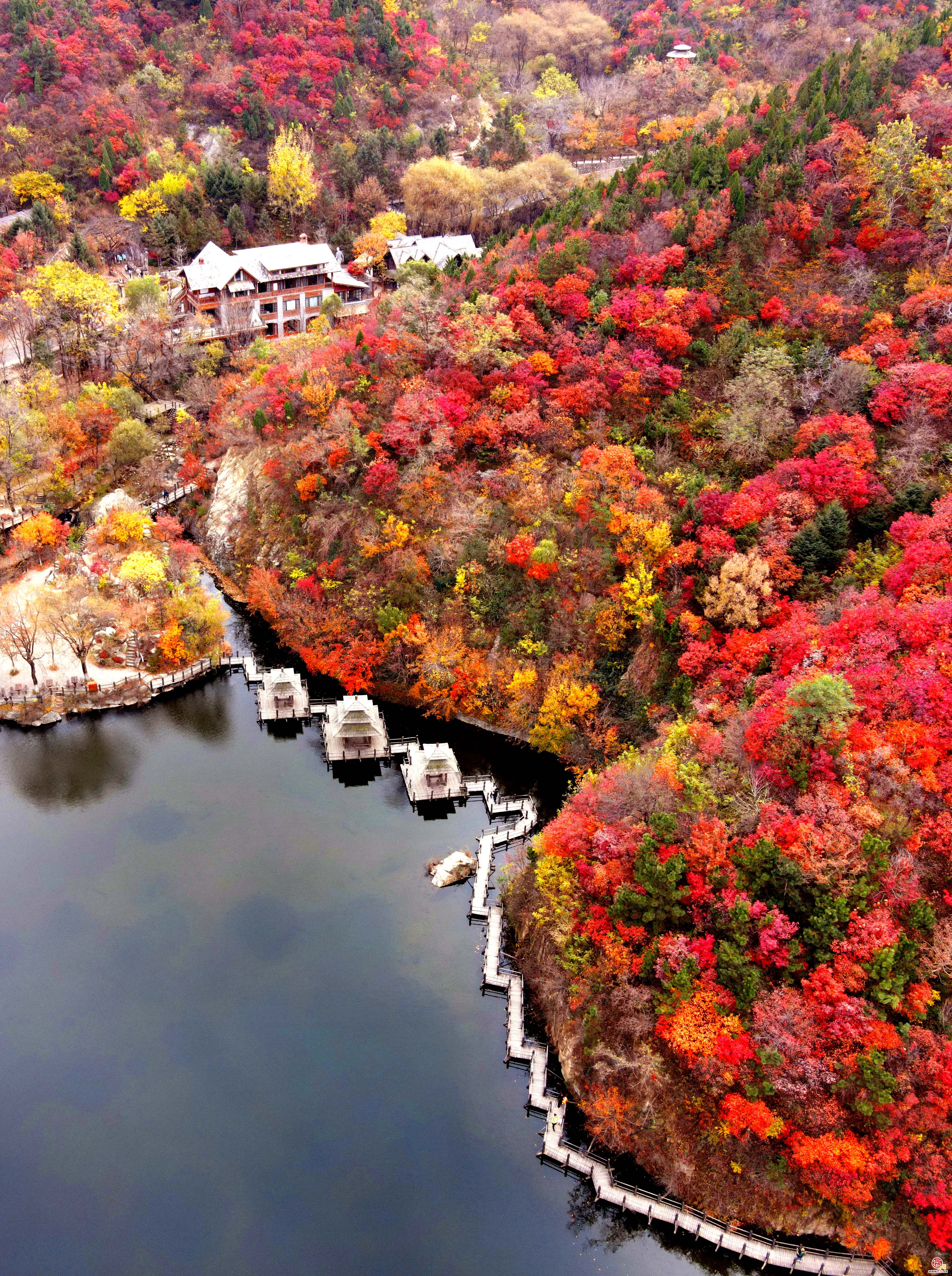 邂逅九如山 浪漫赏秋绚丽来袭