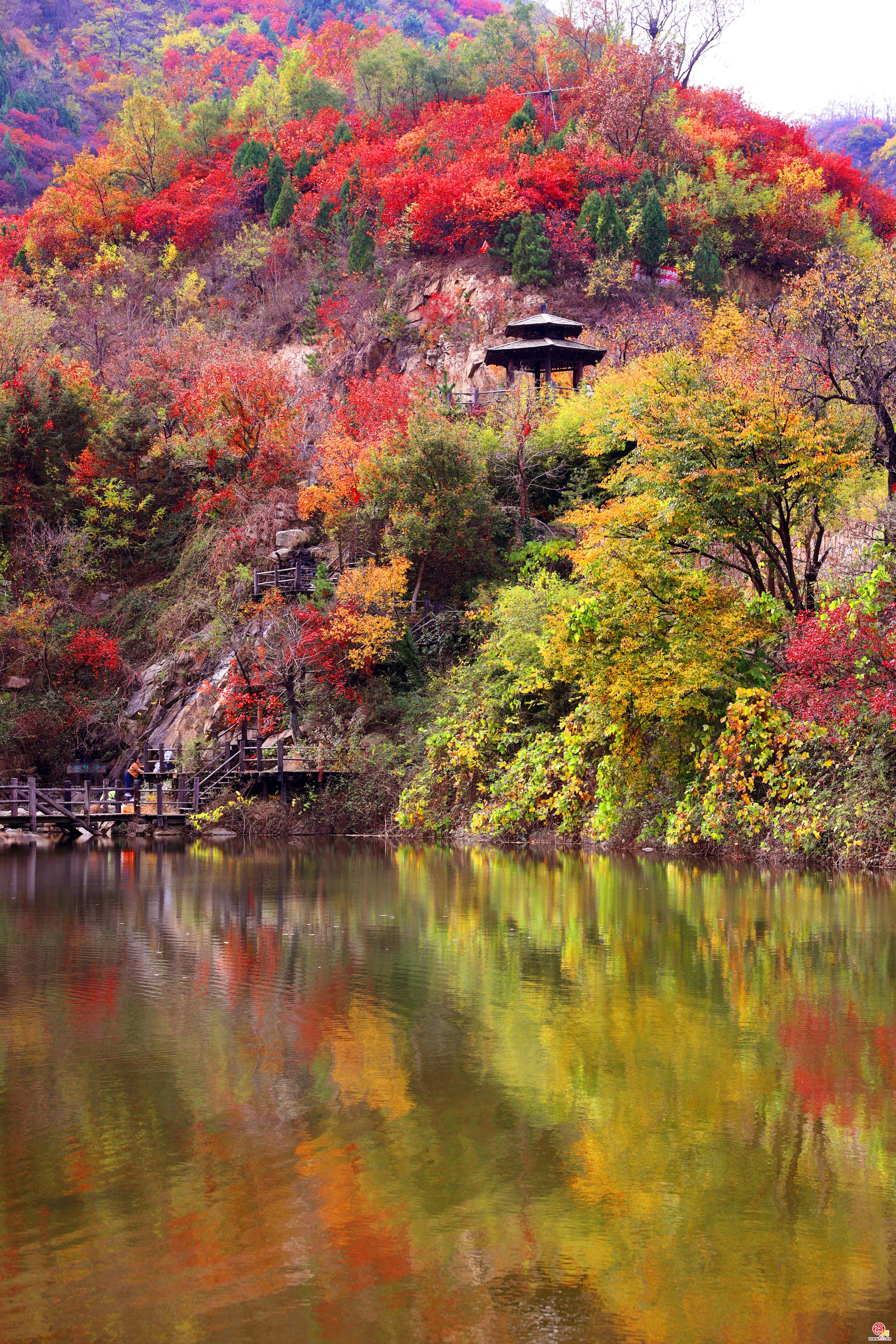 邂逅九如山 浪漫赏秋绚丽来袭