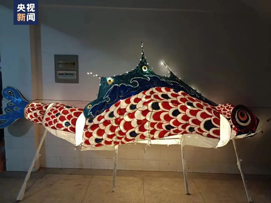 太美了!第一眼以为“鱼”在水里,没想到……