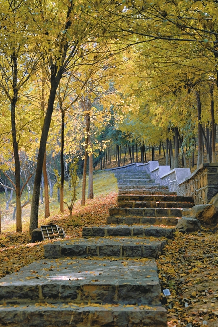 秋色染泉城 一起跟着镜头去赏秋吧