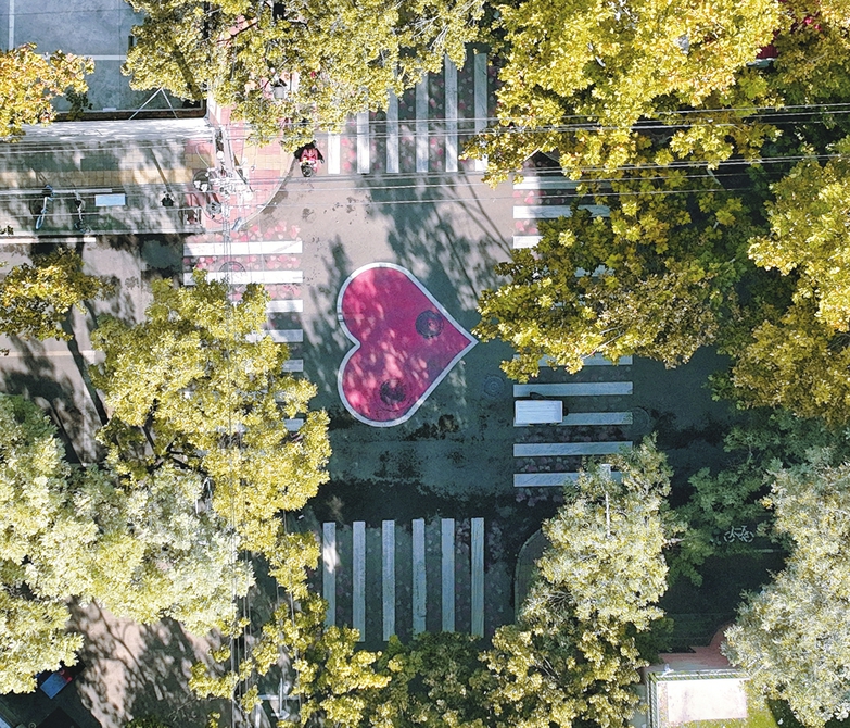 秋色染泉城 一起跟着镜头去赏秋吧