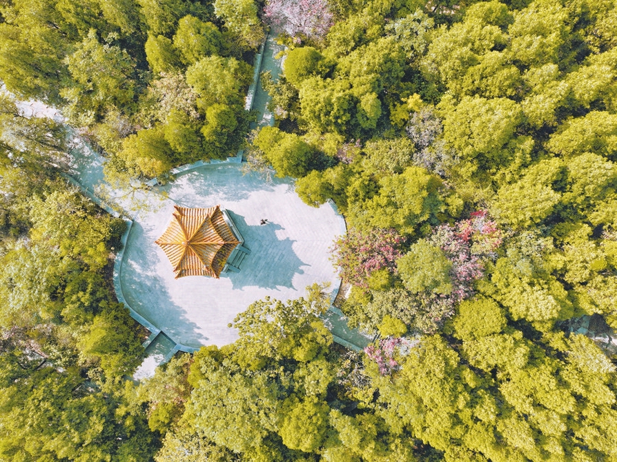 秋色染泉城 一起跟着镜头去赏秋吧