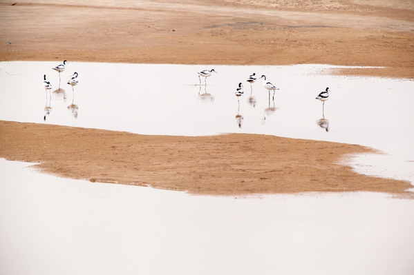 黄河畔，一座“慢城”的“诗和远方”