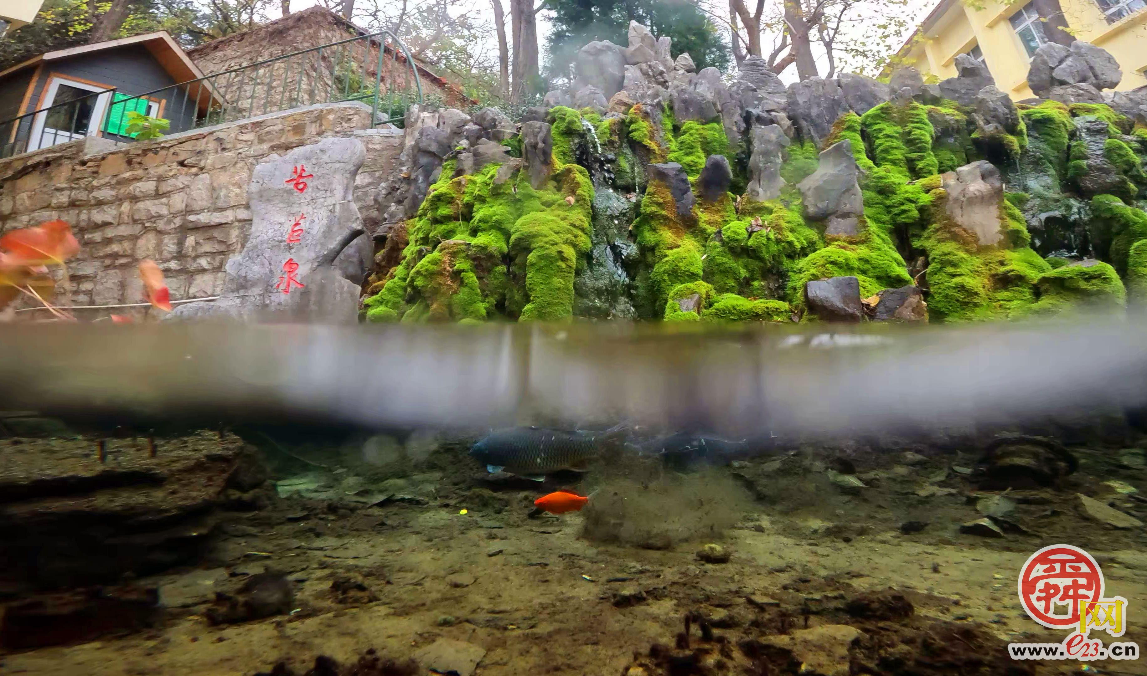 苦苣泉：泉涌伏流永不休 汩汩跌宕满朝气