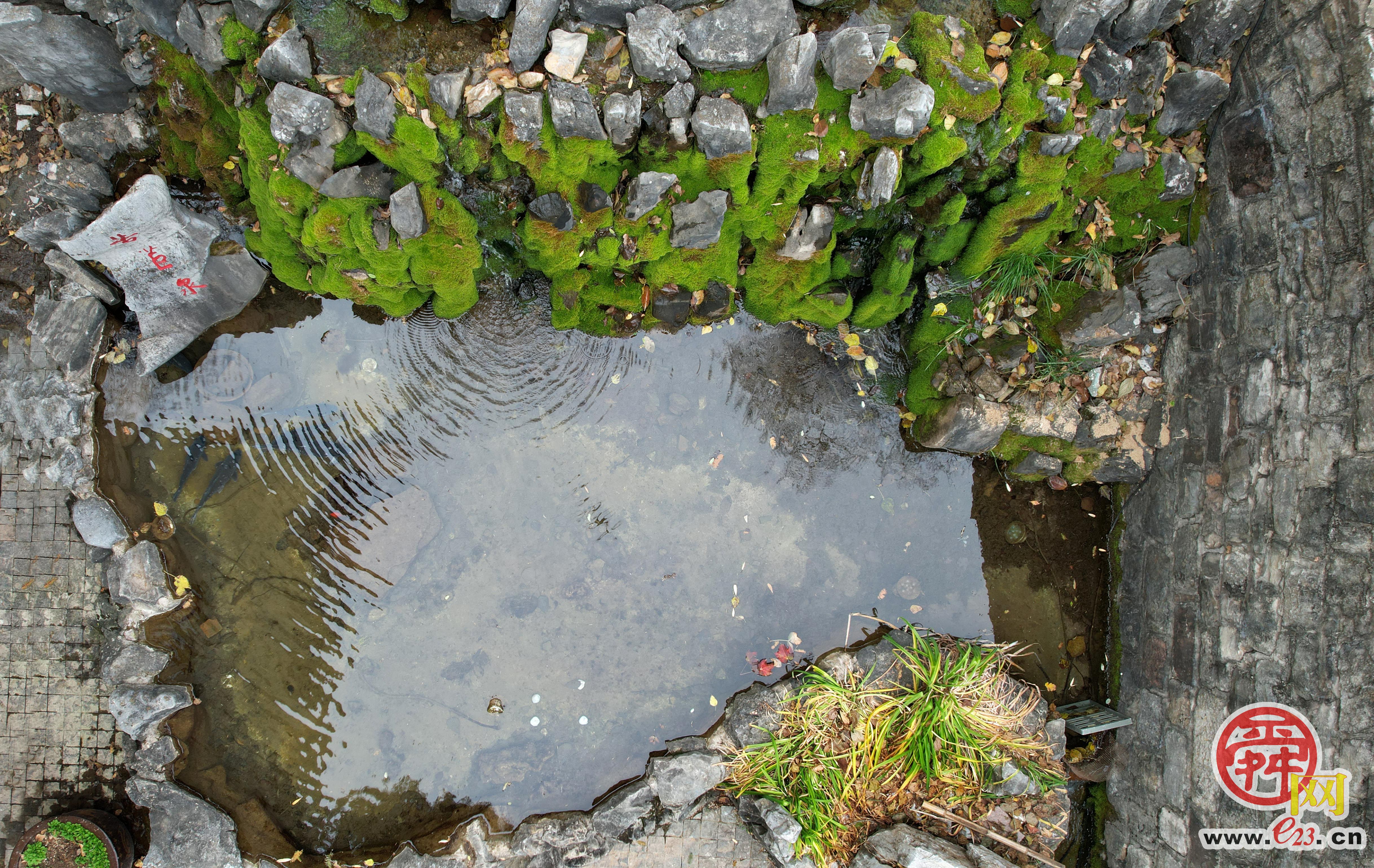 苦苣泉：泉涌伏流永不休 汩汩跌宕满朝气