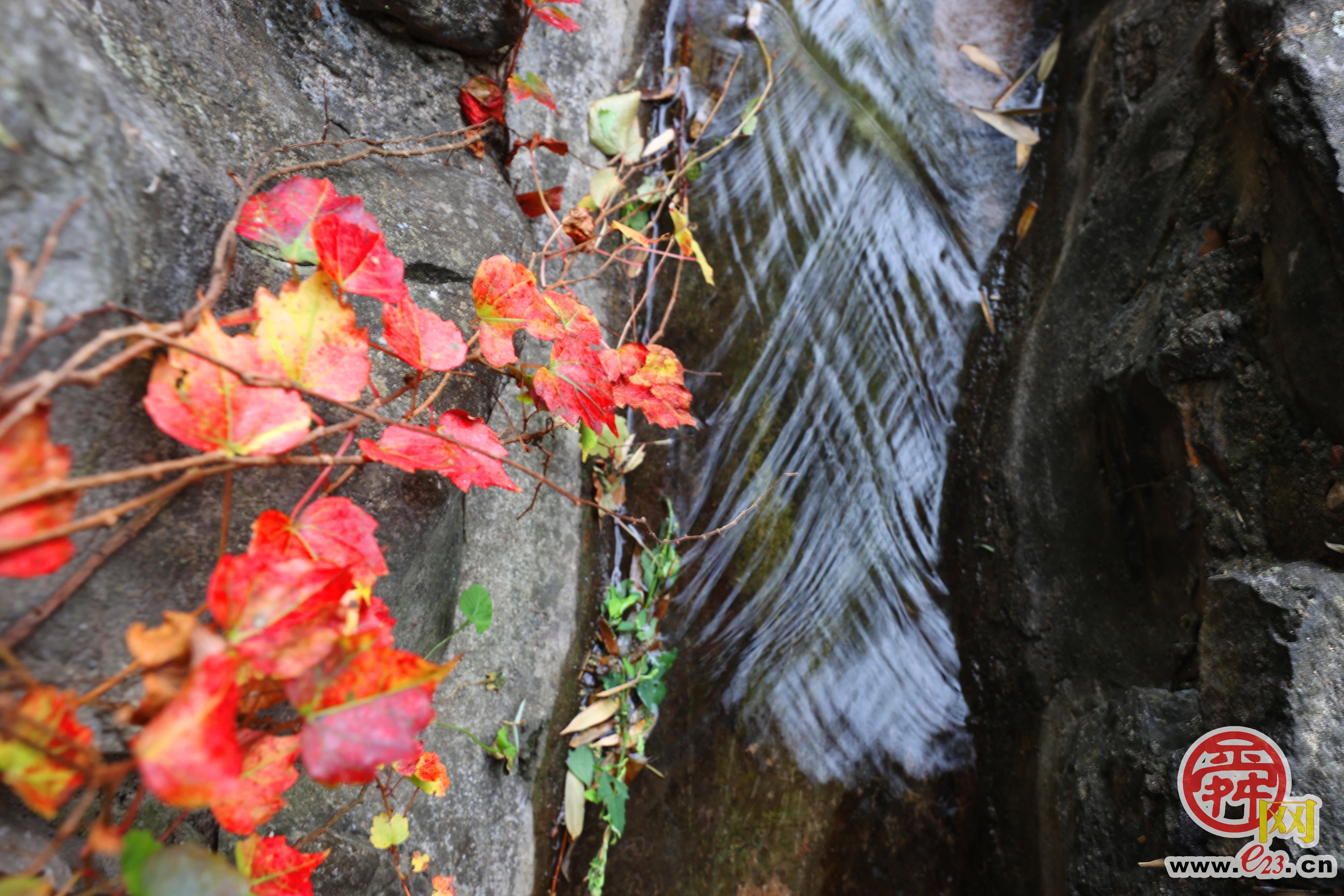 苦苣泉：泉涌伏流永不休 汩汩跌宕满朝气
