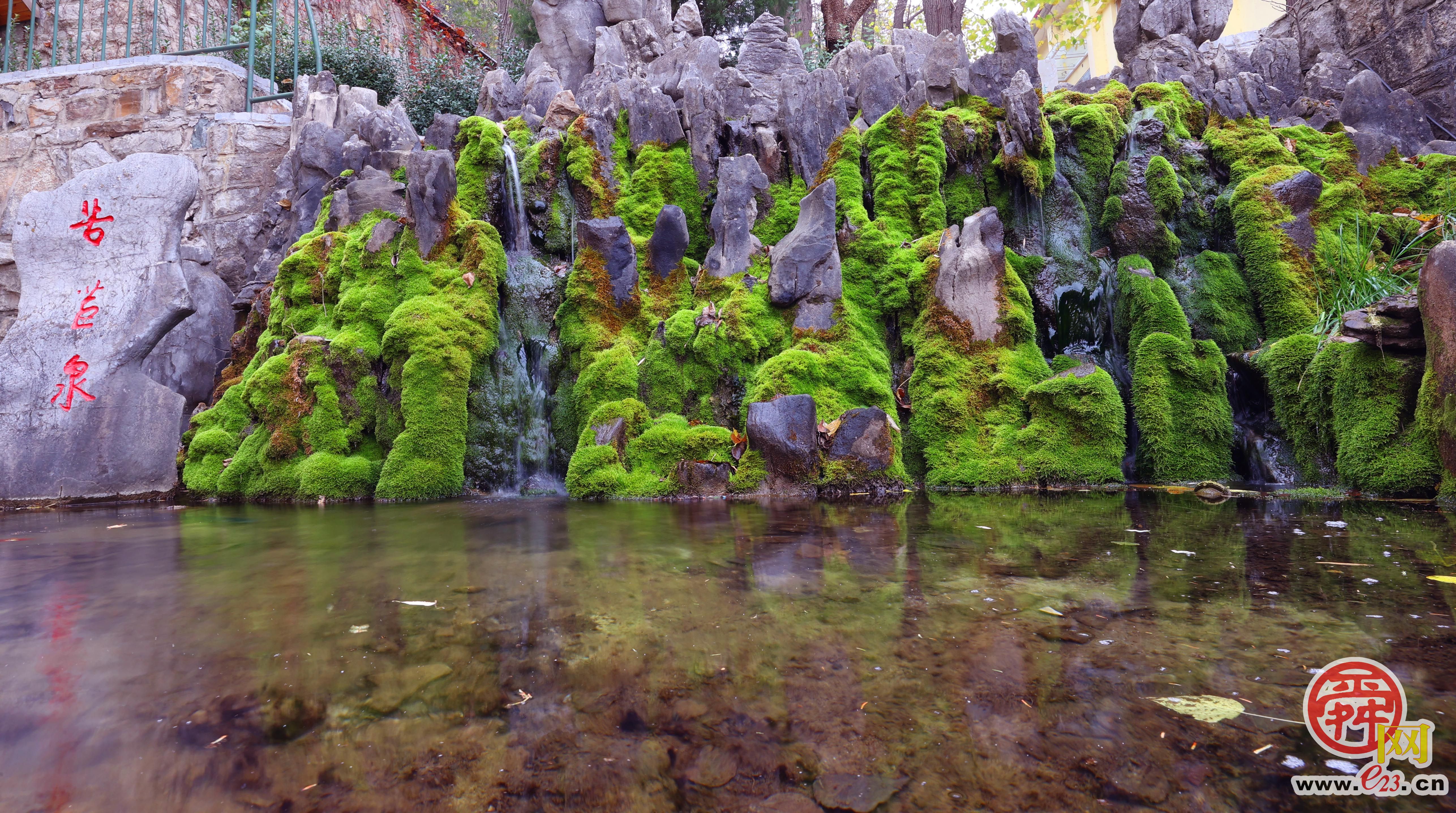 苦苣泉：泉涌伏流永不休 汩汩跌宕满朝气