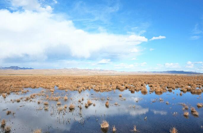 守望若尔盖湿地