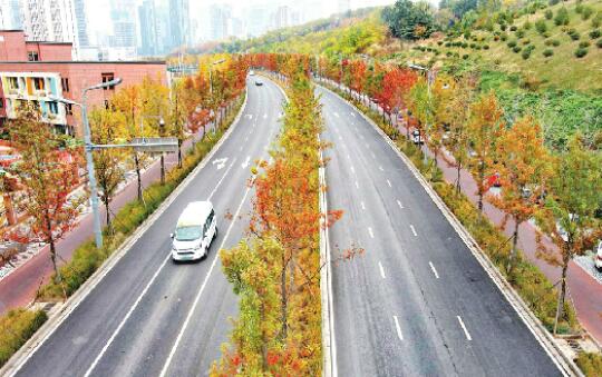 La beauté écologique du quartier des affaires central de Jinan