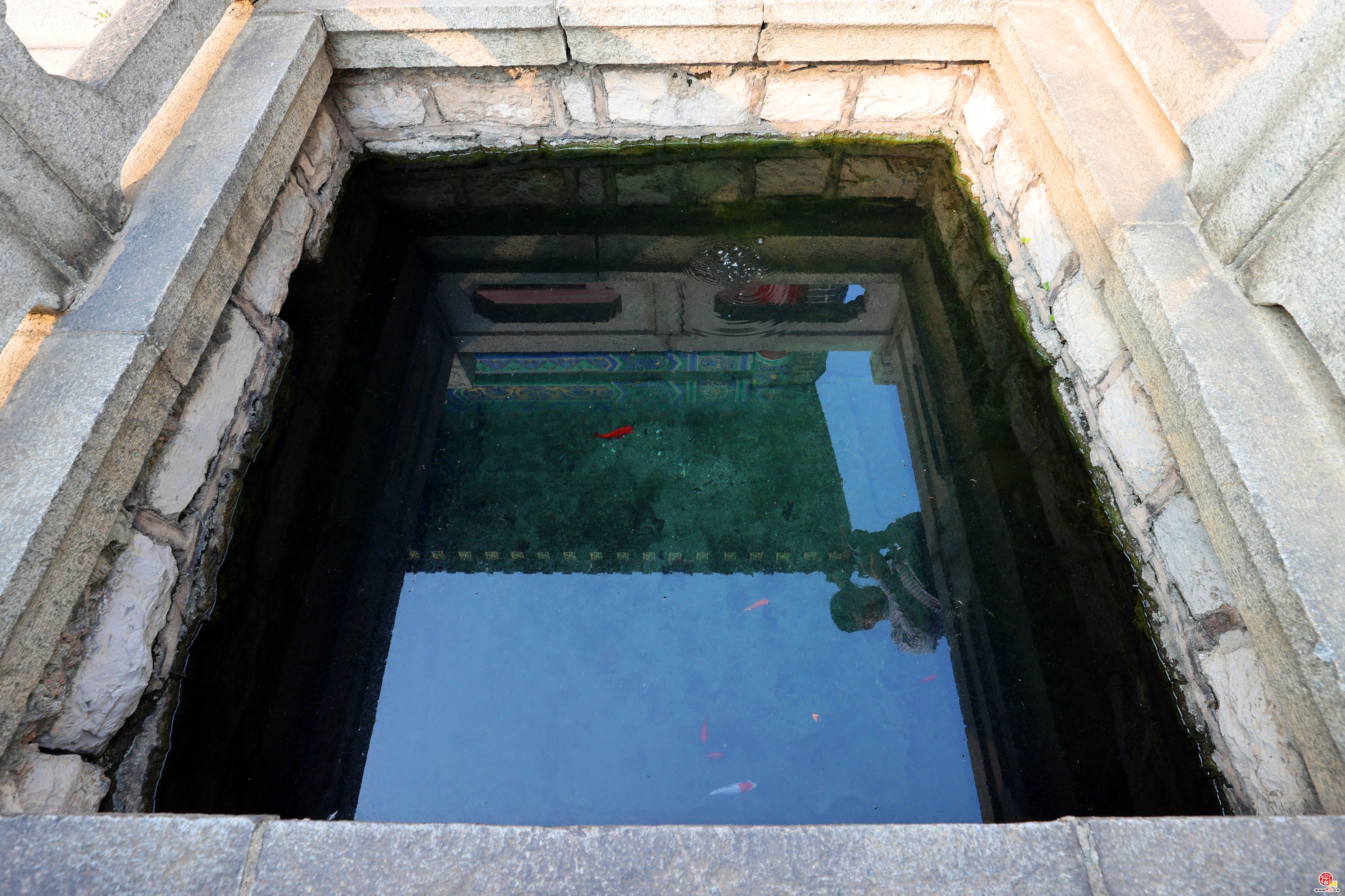 走近济南散水泉：小方池水色空明 静卧古香古色间