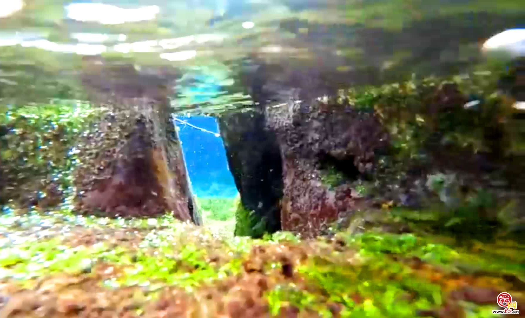 汇波泉：清泉喷涌成溪流 亭石相映景有趣