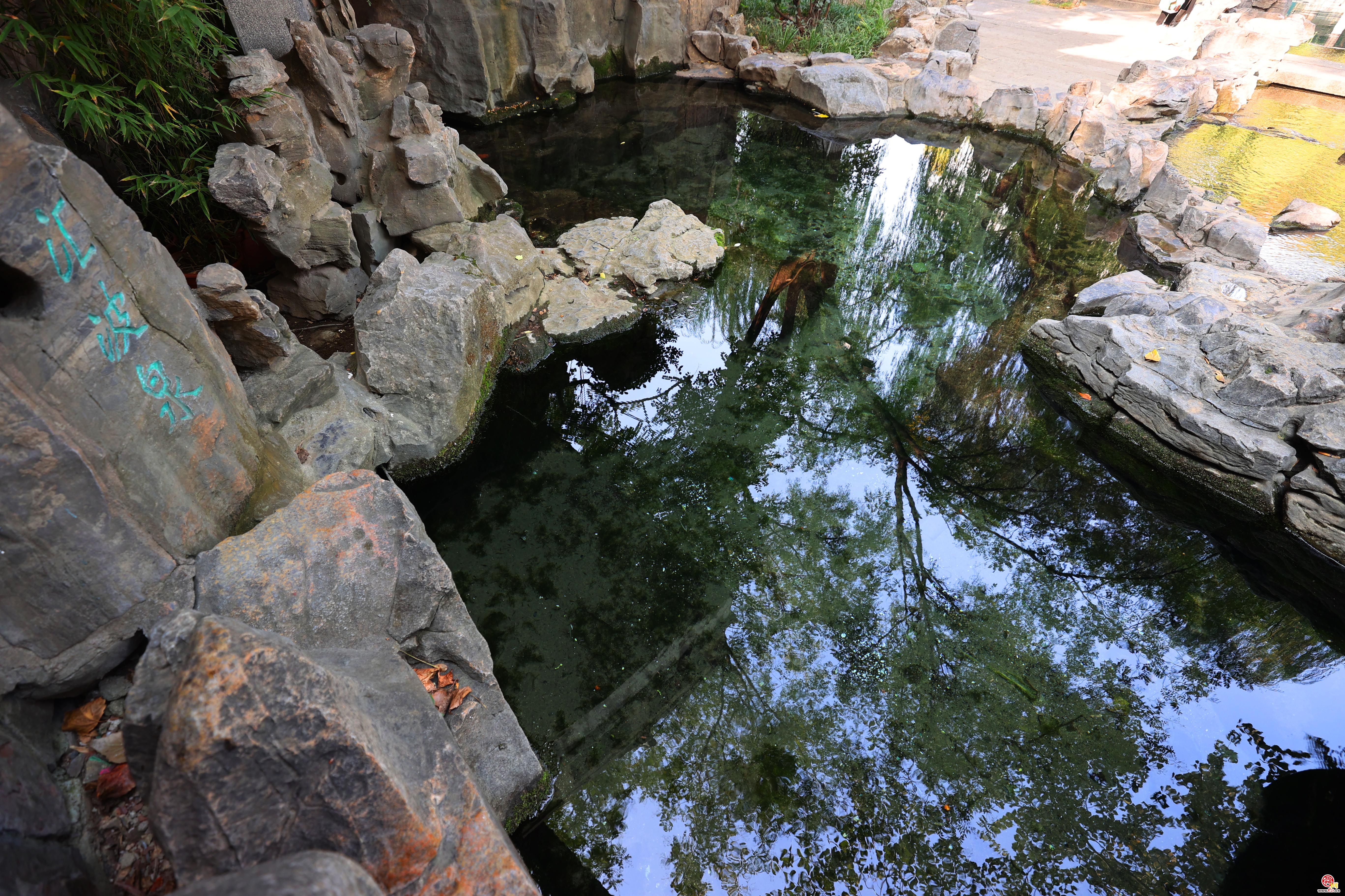 汇波泉：清泉喷涌成溪流 亭石相映景有趣