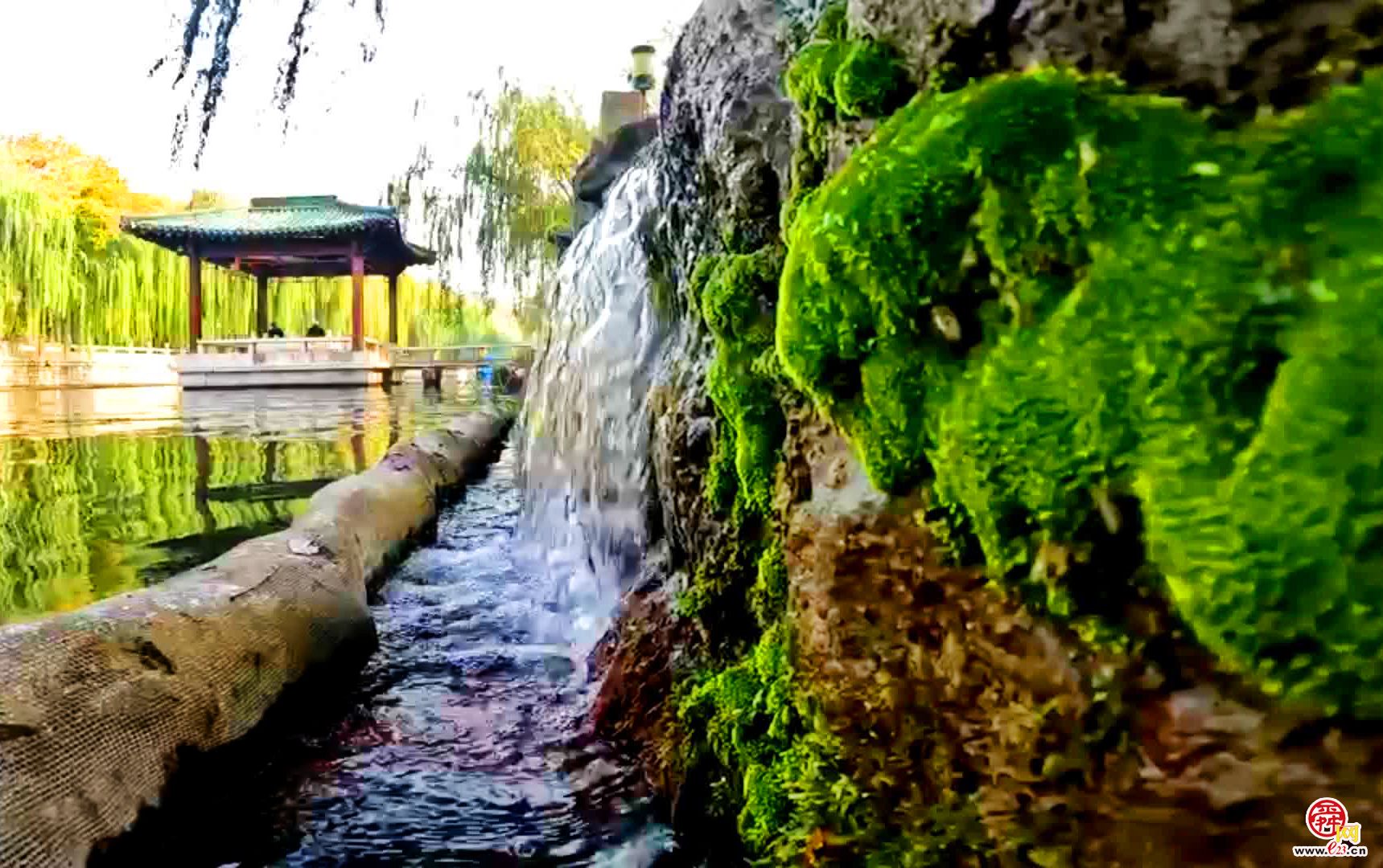 汇波泉：清泉喷涌成溪流 亭石相映景有趣