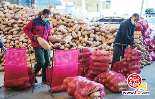 记者探访匡山农产品批发市场：供应足价格稳！每日进场2300吨蔬菜