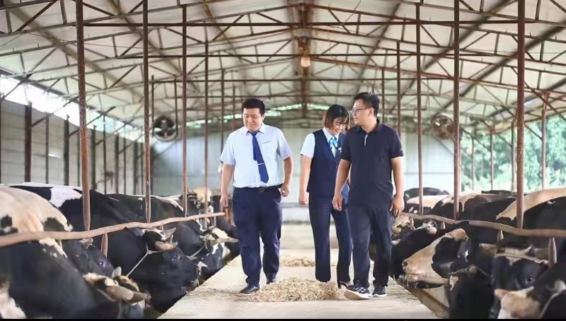 邮储银行济南市商河县分行大力推进信用村建设助力乡村振兴