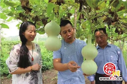 济南手艺人夫妻15年培训超千名残疾人