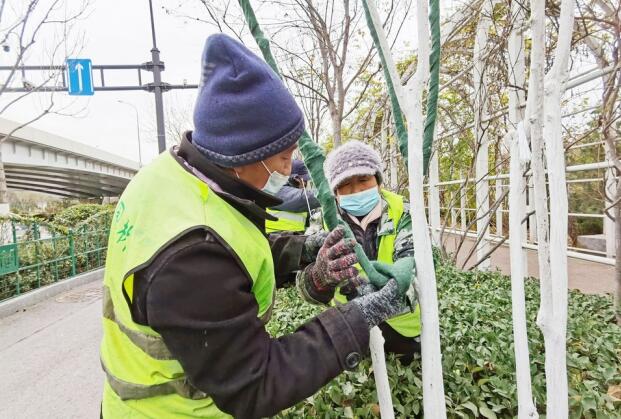 La vague de froid continue de 