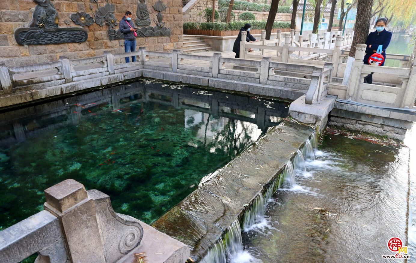 济南仲冬暖如春 群泉欢歌好风景