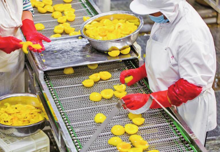 本是新春俏销货，如今旺季提前到 山东黄桃罐头订单暴涨，网店日销量增至上万单