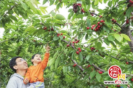 全力推进“生态柳埠”“人文柳埠”建设再上新台阶 柳埠街道:高质量绿色发展,增进民生福祉