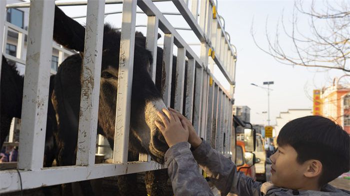 年味儿十足！到济南仲宫赶大集