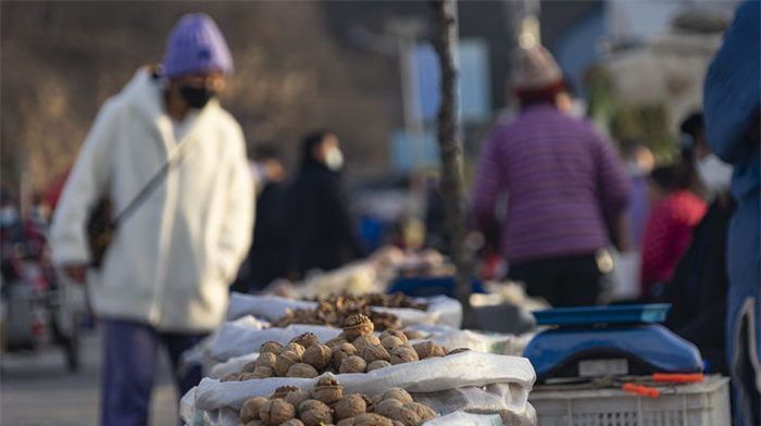 年味儿十足！到济南仲宫赶大集