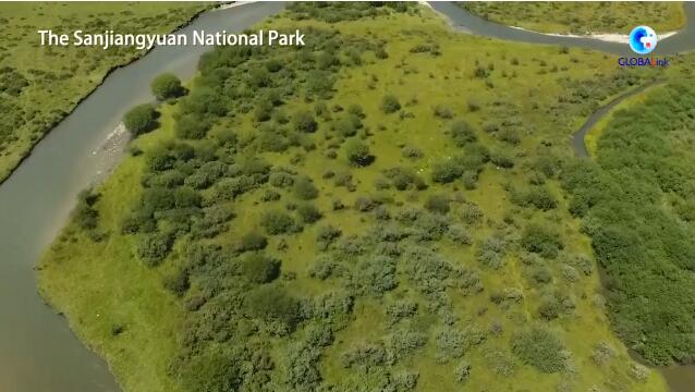 China aims to build world's largest national park system