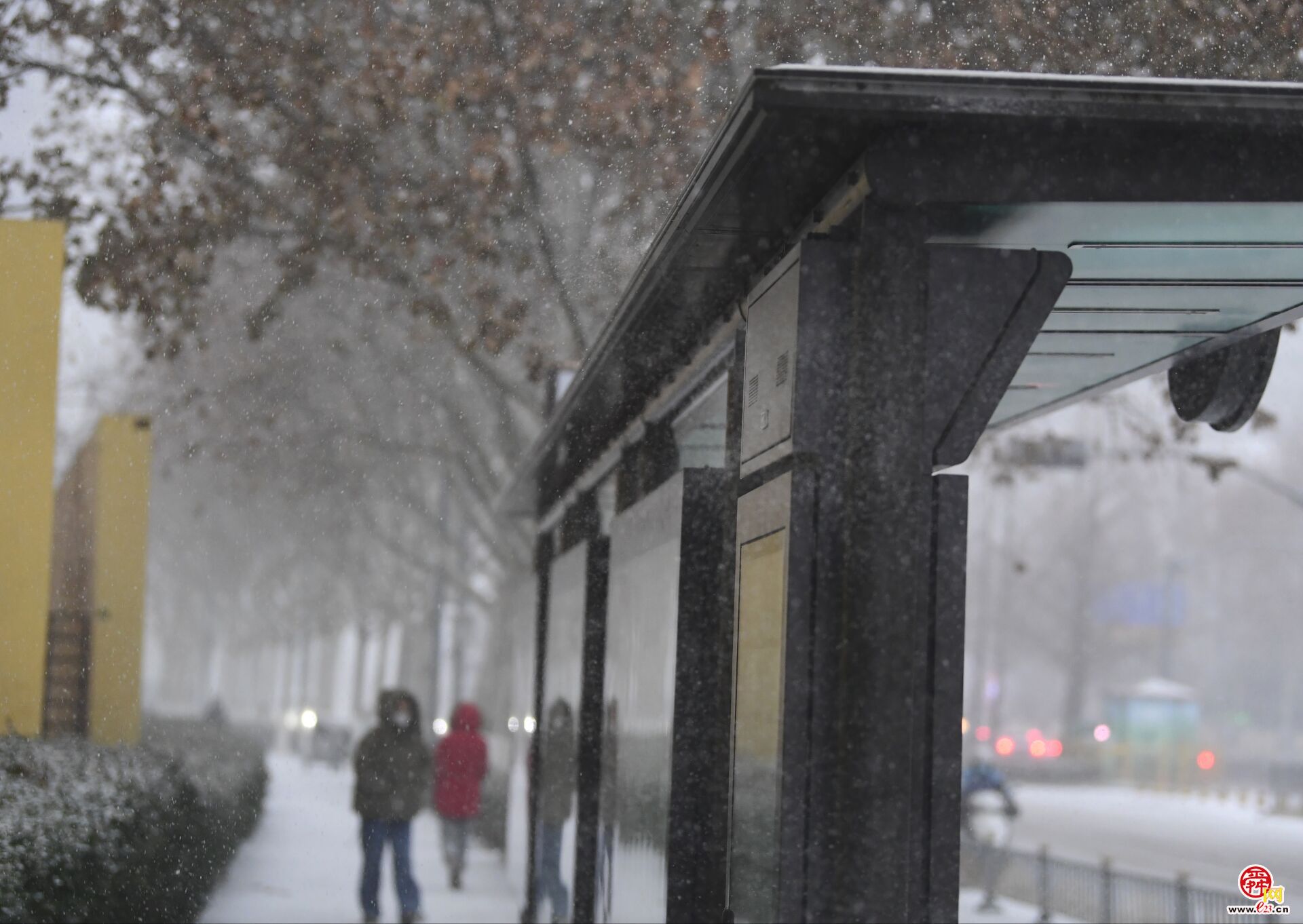 风雪回家路！农历小年济南三大火车站客流稳中有增