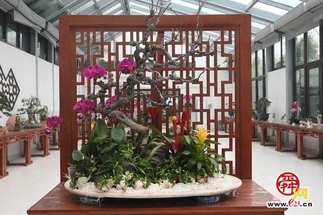 济南天下第一泉风景区迎春花展暨第十届水仙花展开幕啦