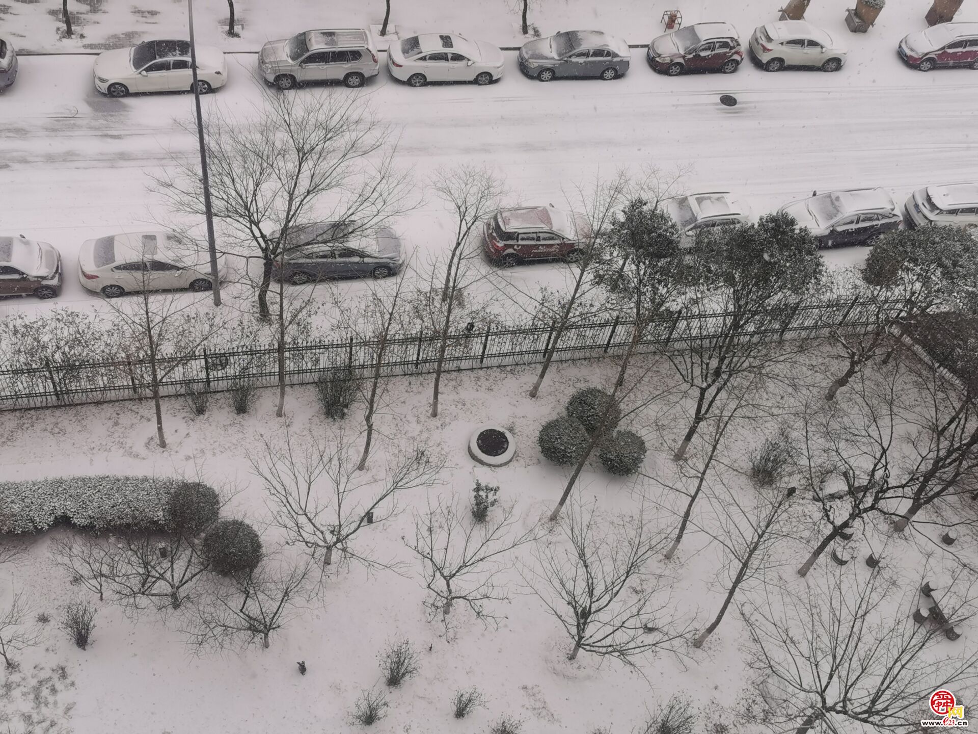 下雪啦!济南迎来2023年第一场雪