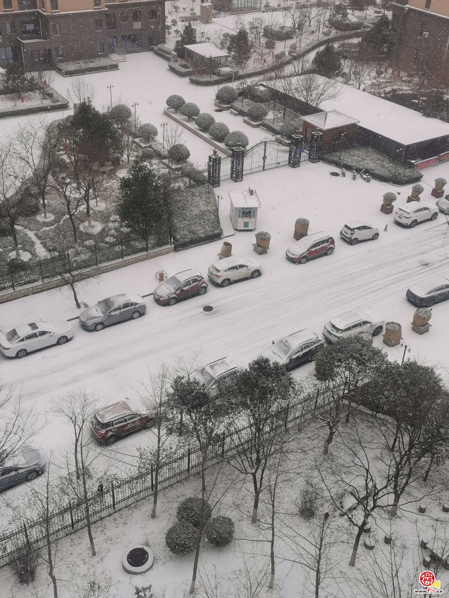 下雪啦!济南迎来2023年第一场雪