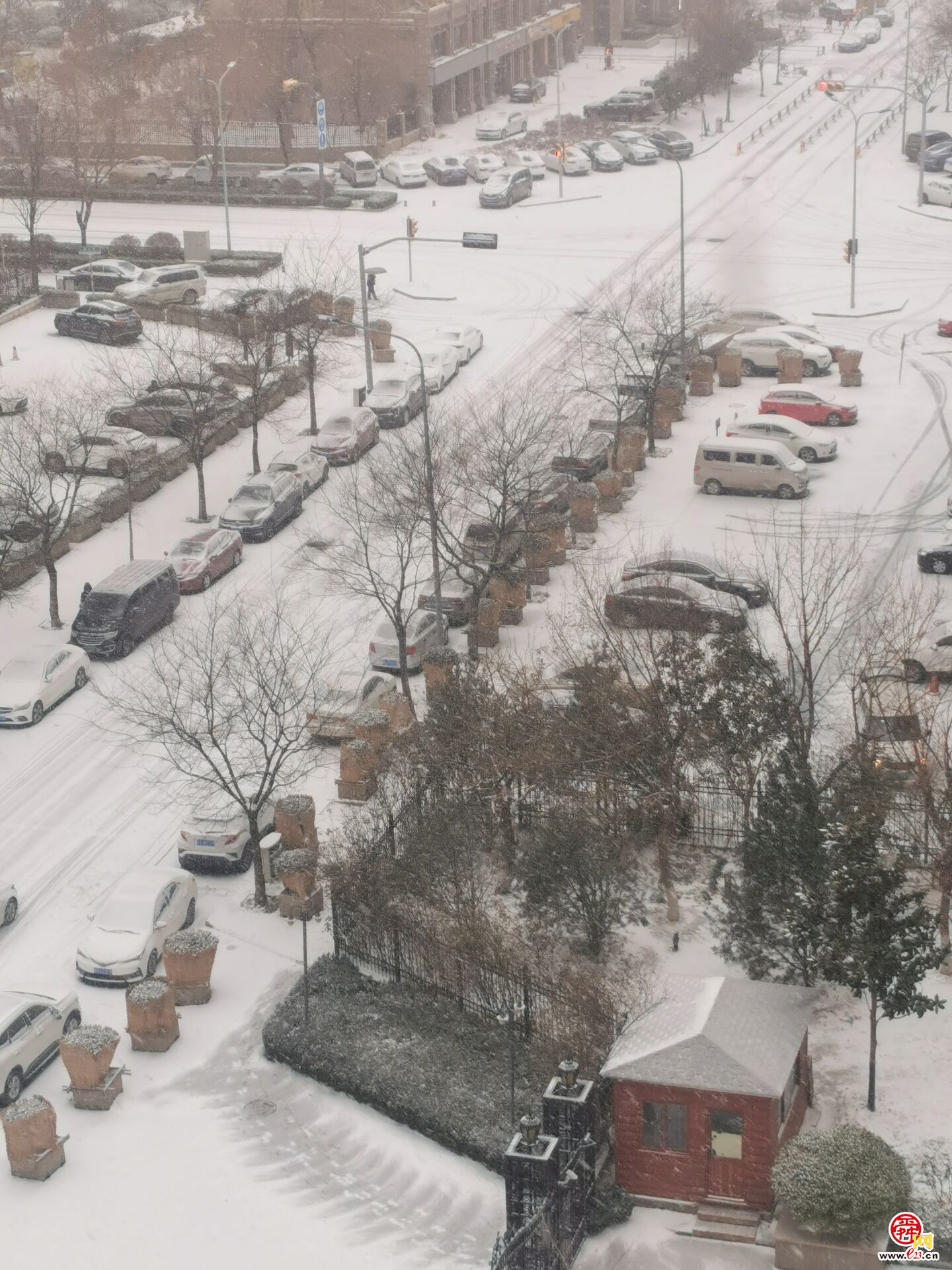 下雪啦!济南迎来2023年第一场雪