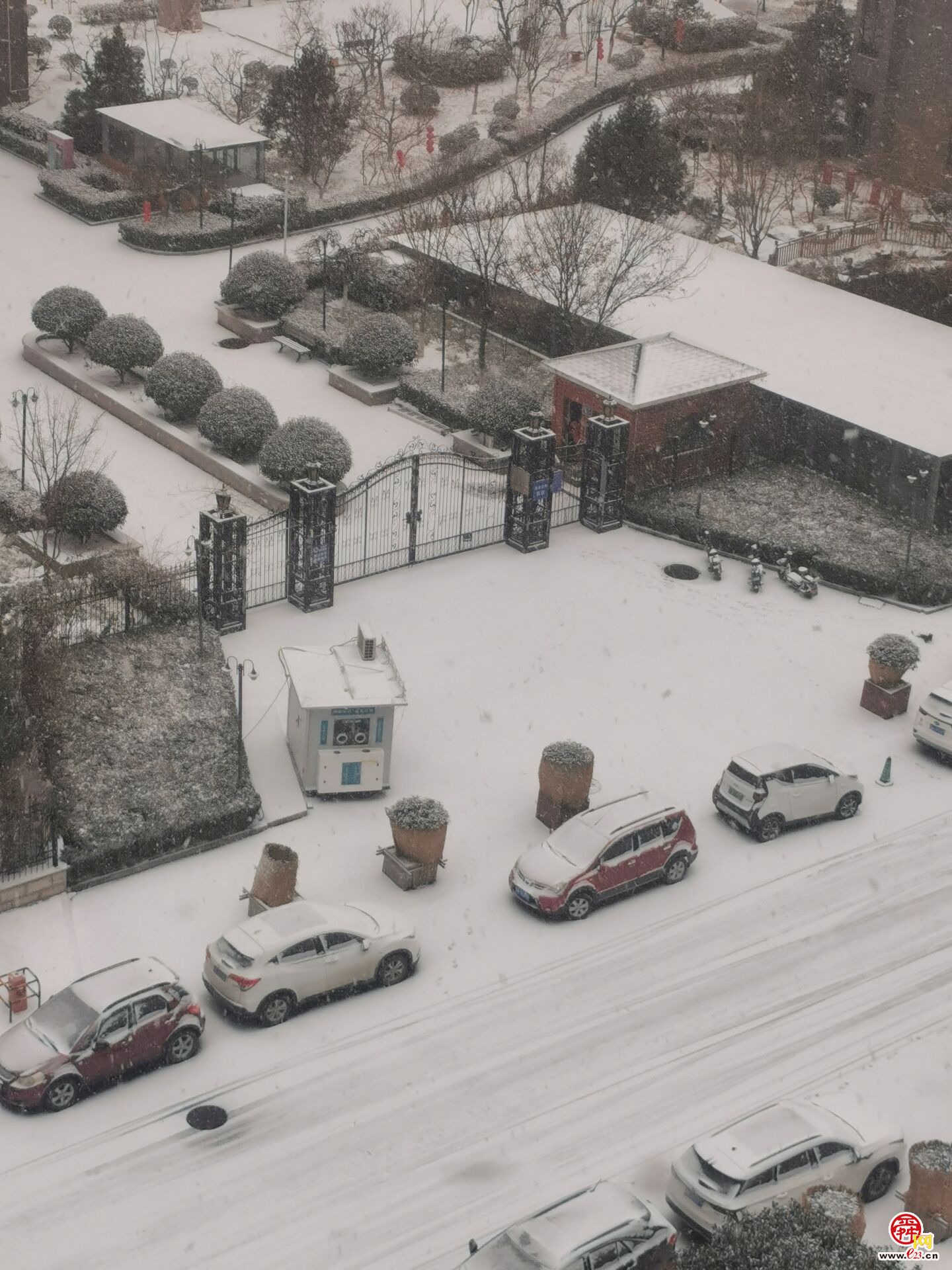 下雪啦!济南迎来2023年第一场雪