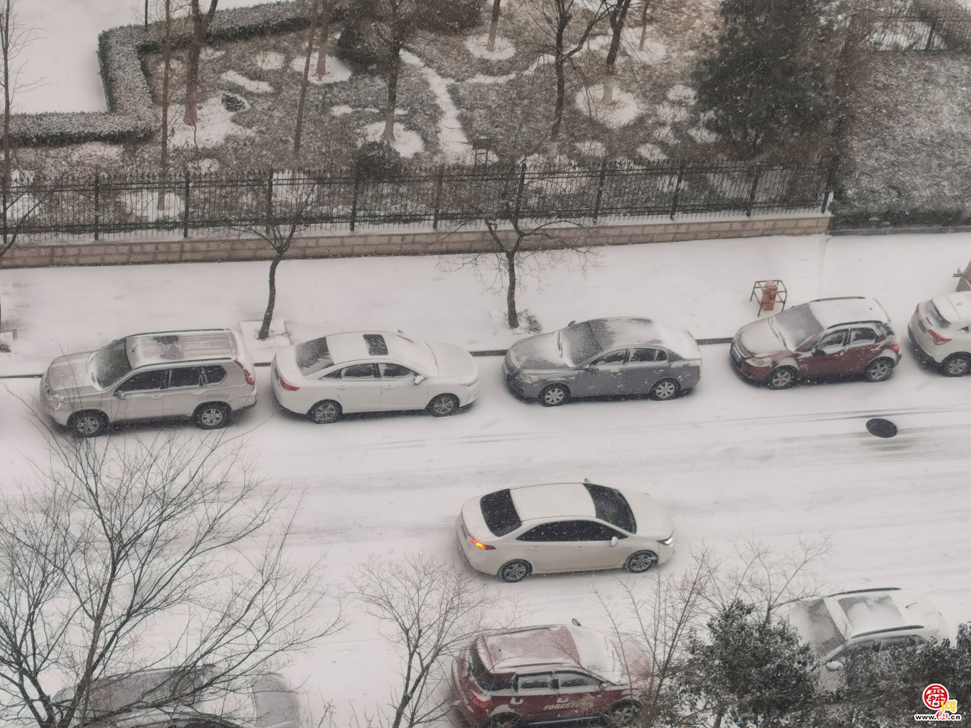 下雪啦!济南迎来2023年第一场雪