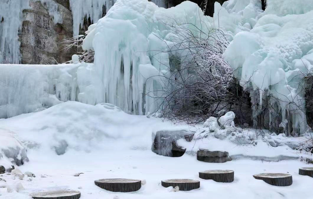 雪后红叶谷冬景似幻