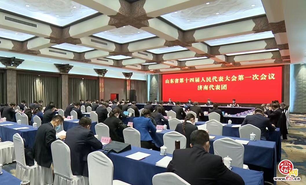 济南团审议省“两院”工作报告 刘强于海田出席并发言 韩金峰主持