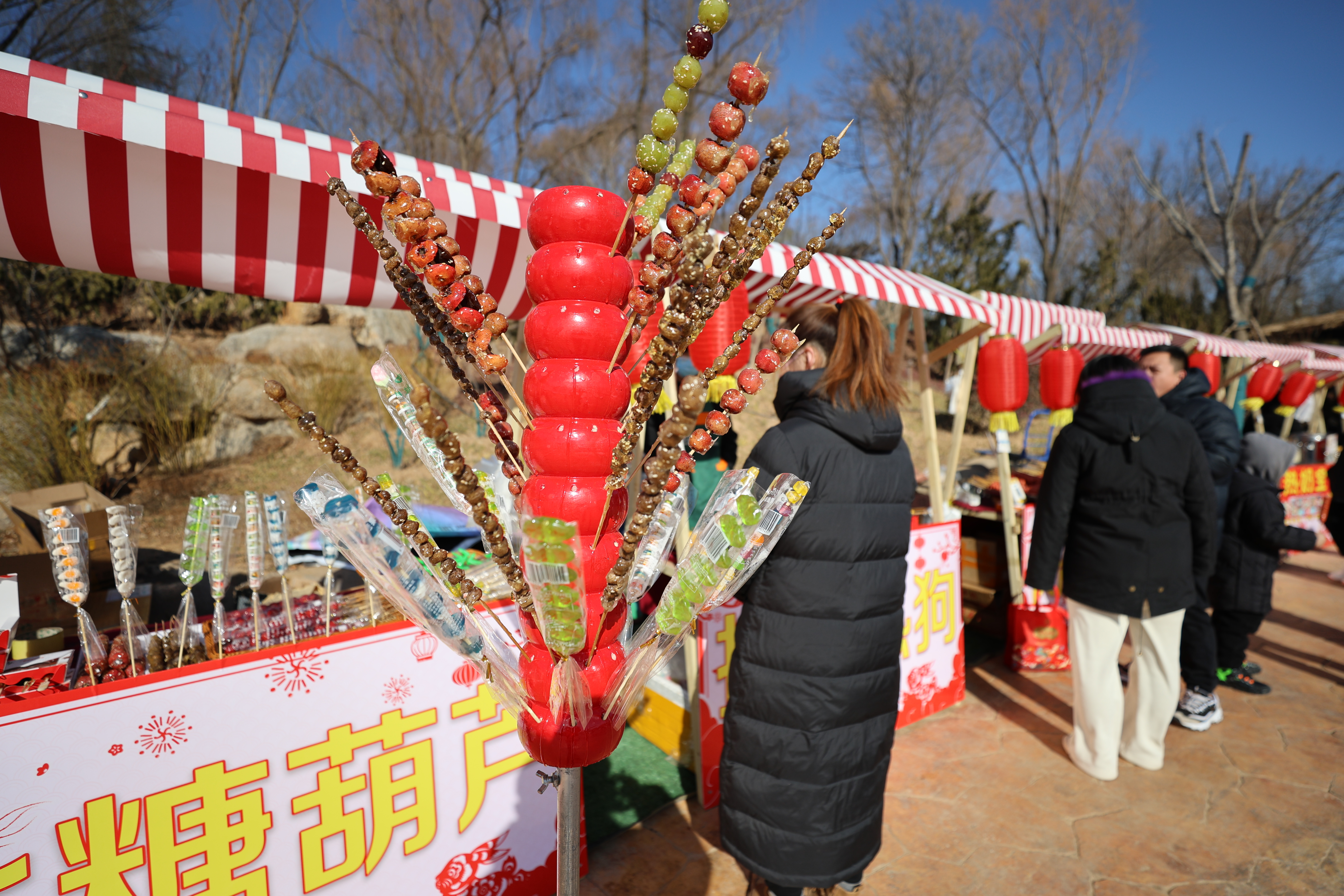 悠哉乐哉！兔年新春快来品尝那些藏在动物世界里的美食！