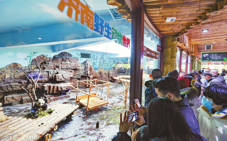 Fast 30 zehntausende Touristen besuchten Jinan Wildlife World während des Frühlingsfestes