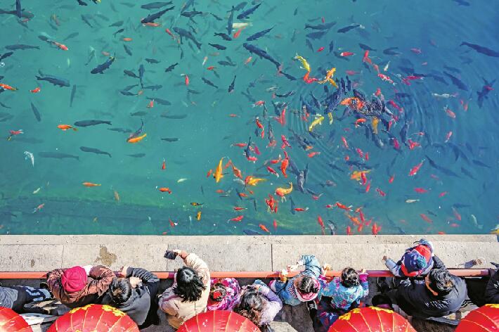 “回归”的导游：把过去3年错过的，都挣回来