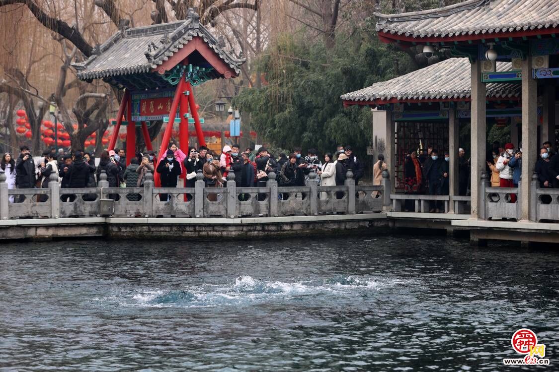 趵突腾空、千泉竞涌！初春时节，济南“泉水游”依然火爆