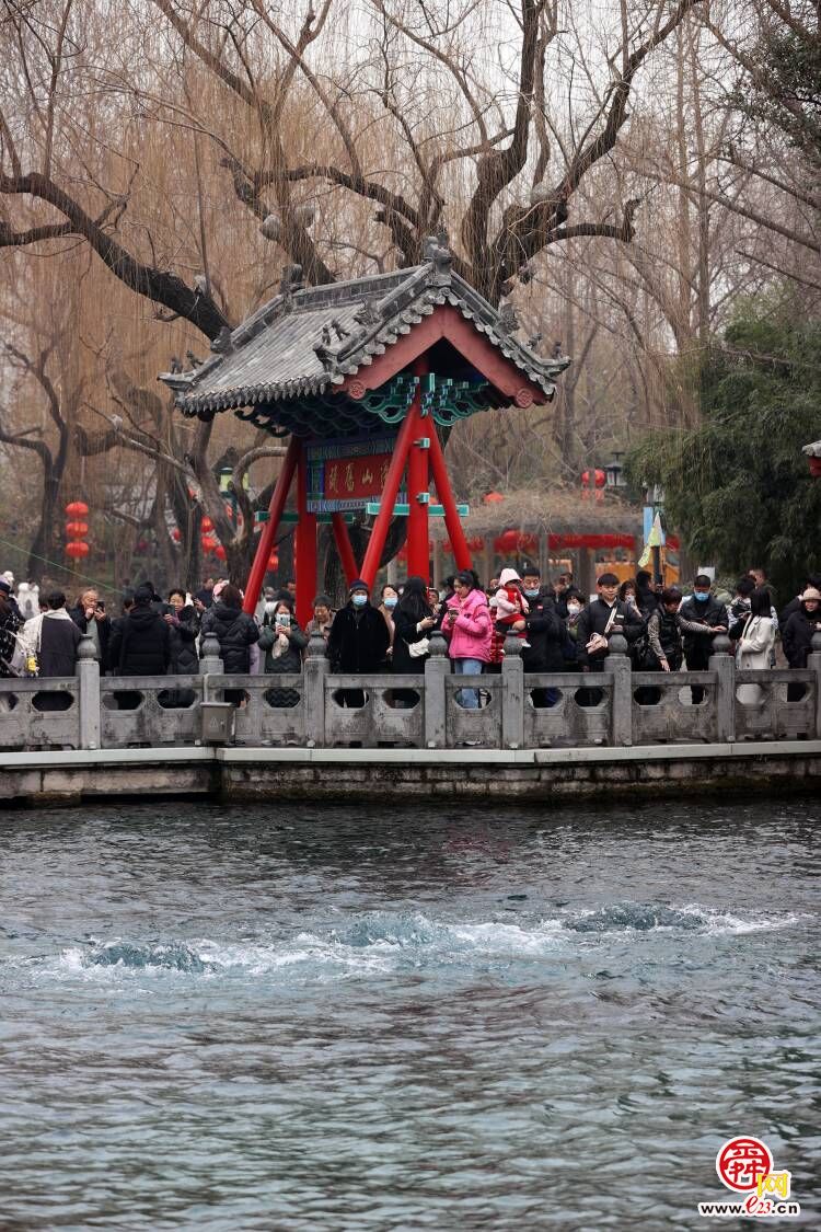 趵突腾空、千泉竞涌！初春时节，济南“泉水游”依然火爆
