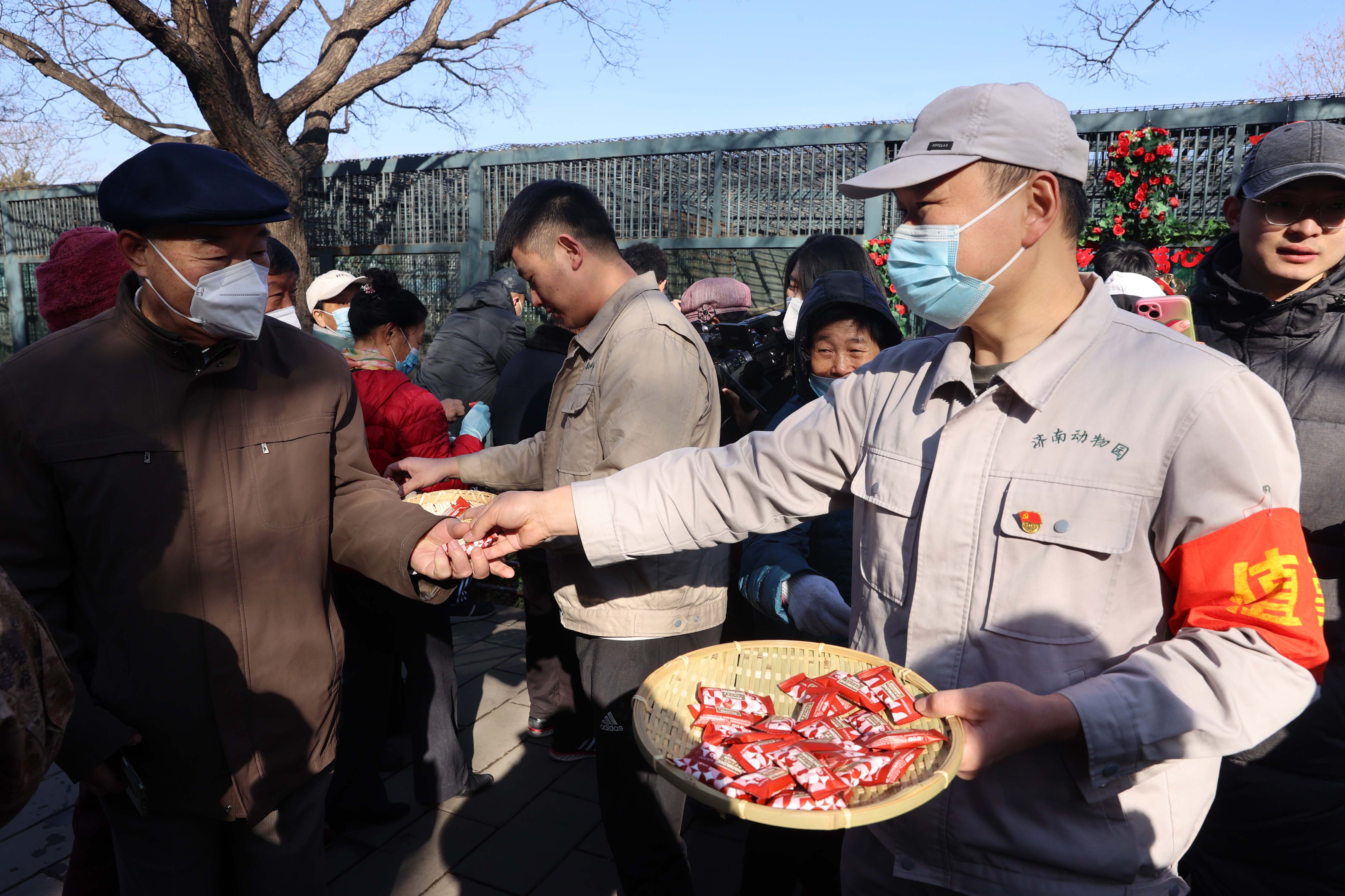 动物园里好热闹 天津豹济南喜“成亲”